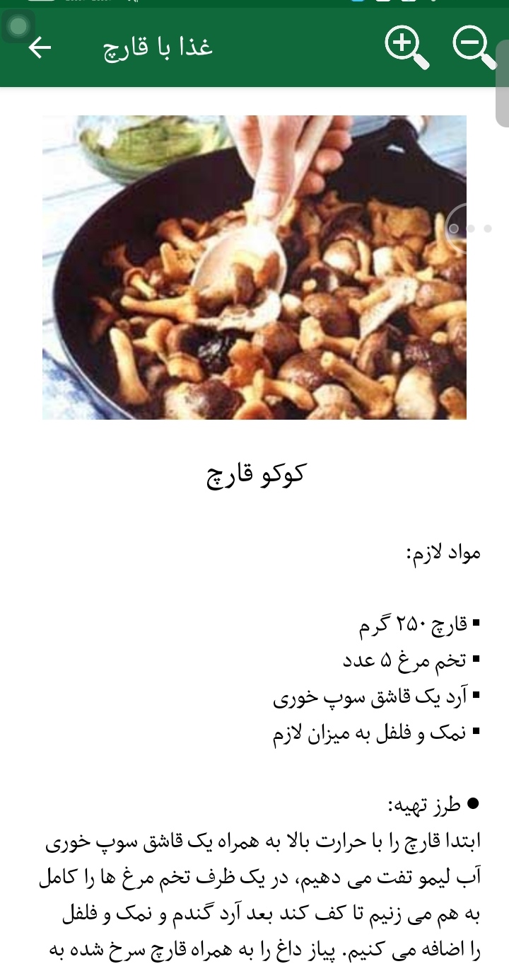 اسکرین شات 7 برنامه غذا با قارچ