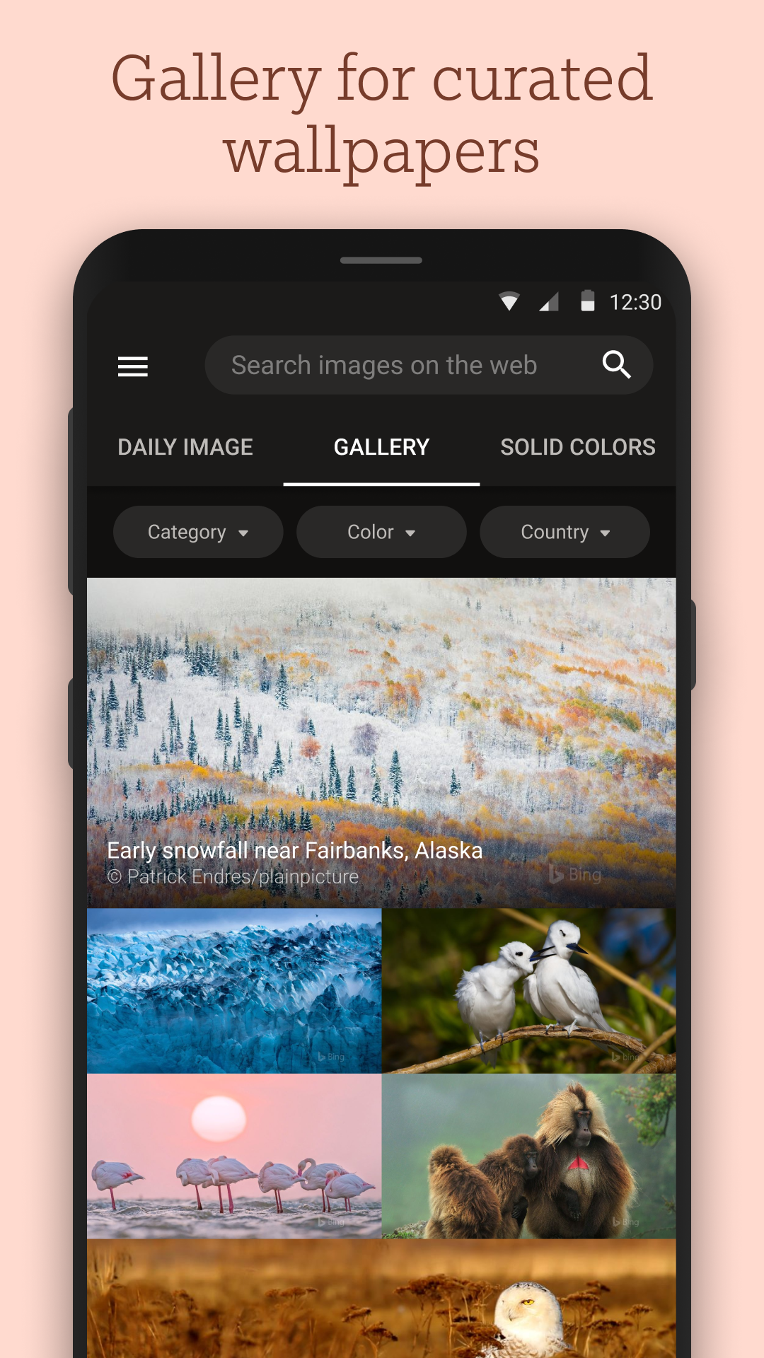 اسکرین شات 2 برنامه Bing Wallpapers