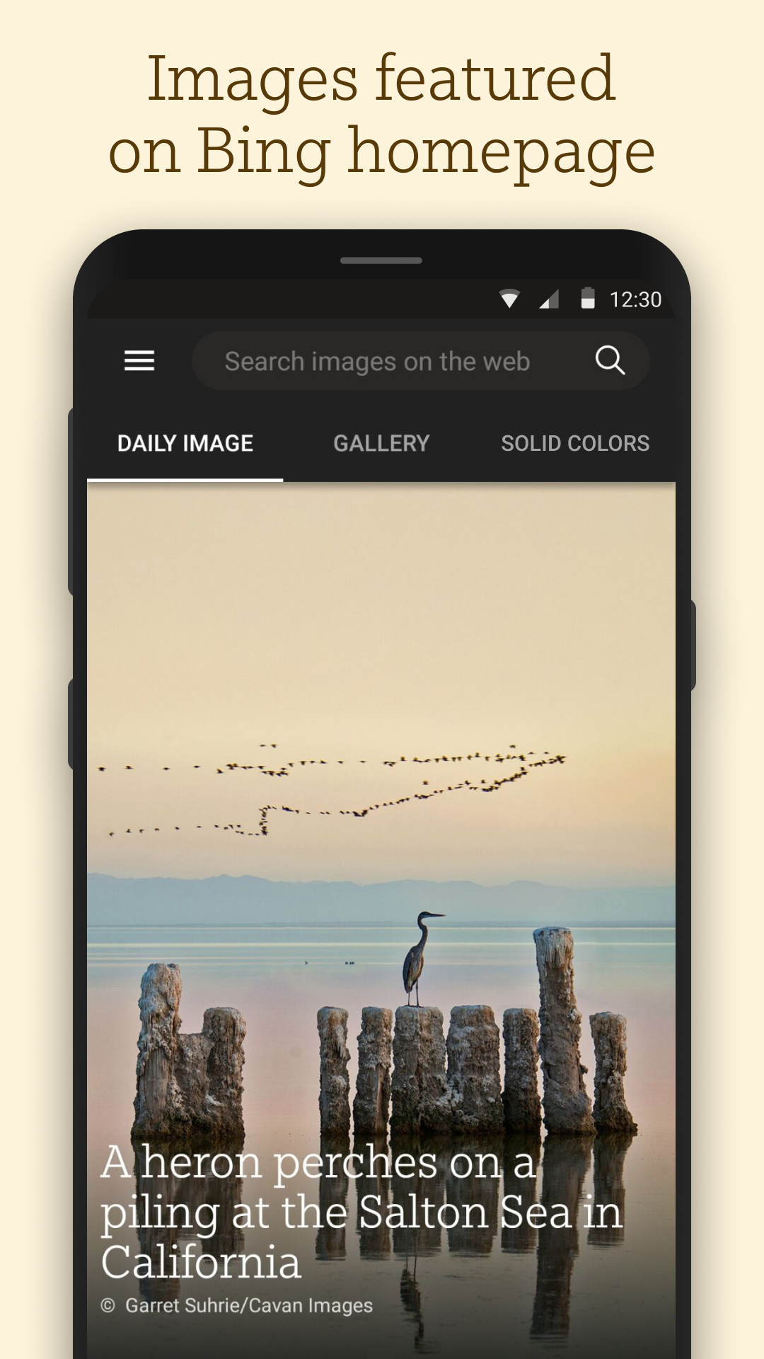 اسکرین شات 1 برنامه Bing Wallpapers