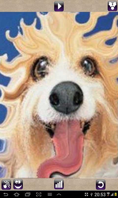 اسکرین شات 2 برنامه Face Animator - Photo Deformer