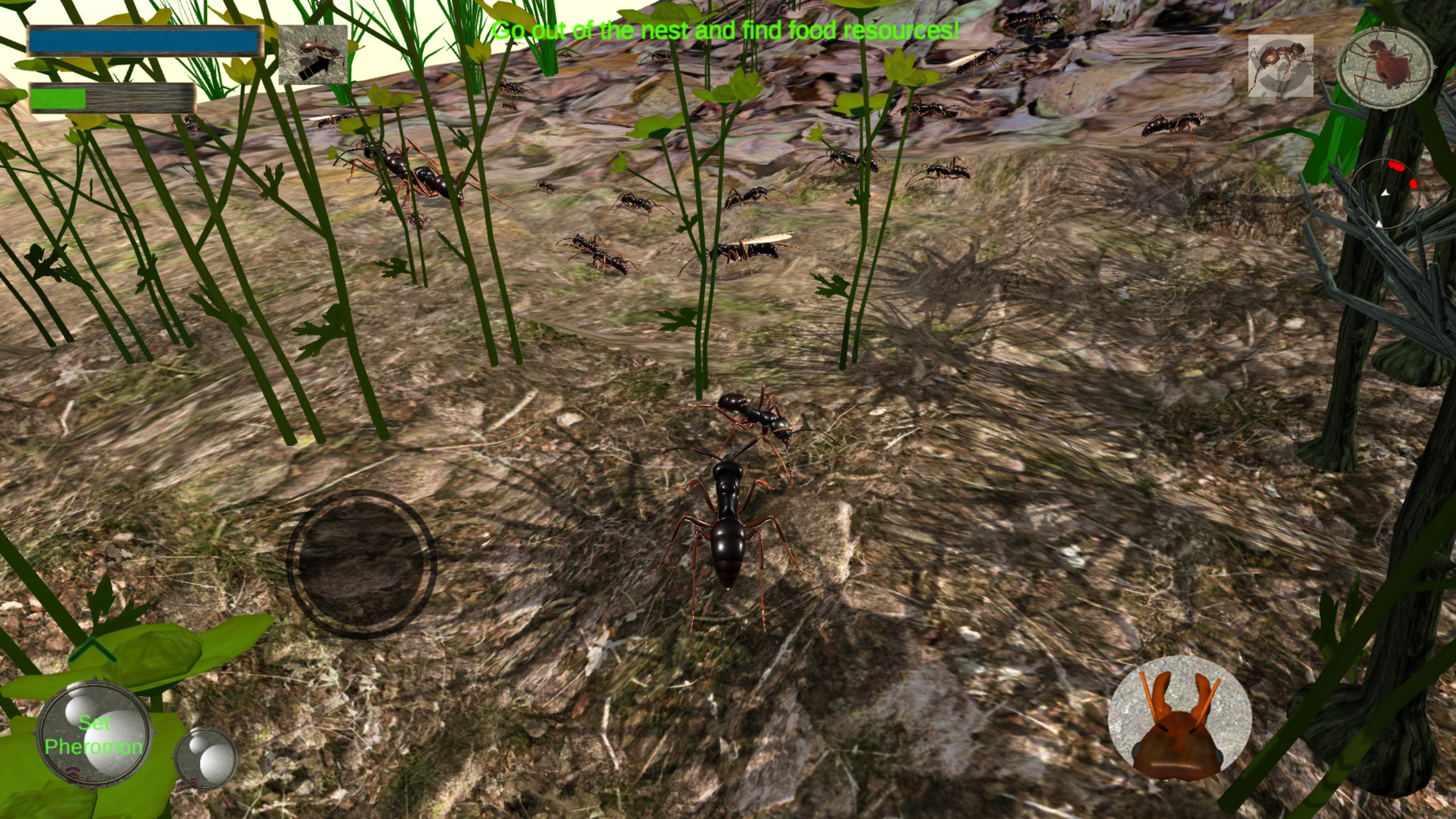 اسکرین شات 4 بازی Ant Simulation 3D