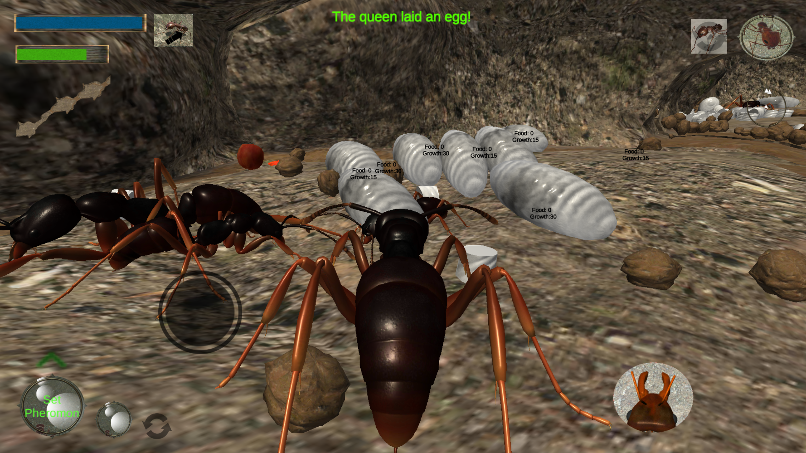 اسکرین شات 3 بازی Ant Simulation 3D