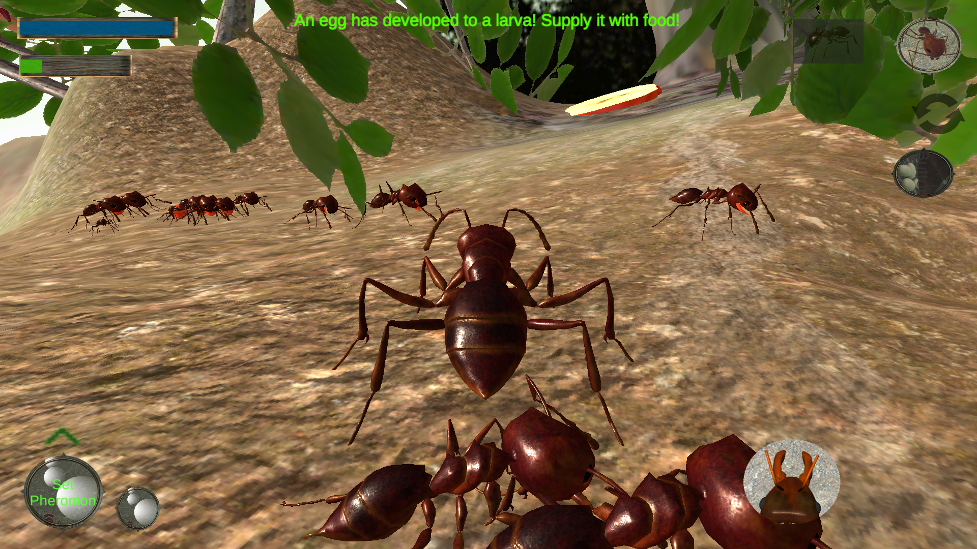 اسکرین شات 2 بازی Ant Simulation 3D