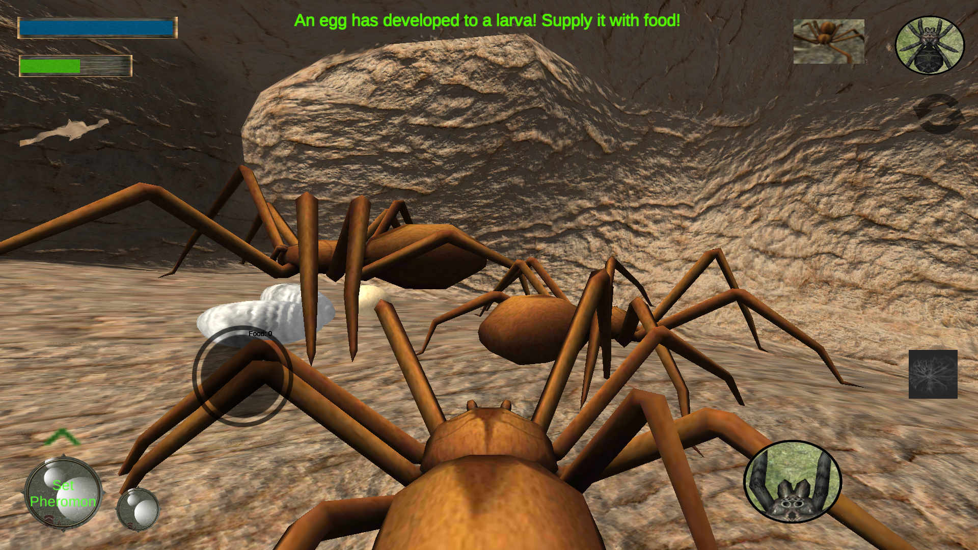 اسکرین شات 3 بازی Spider Nest Simulator - insect
