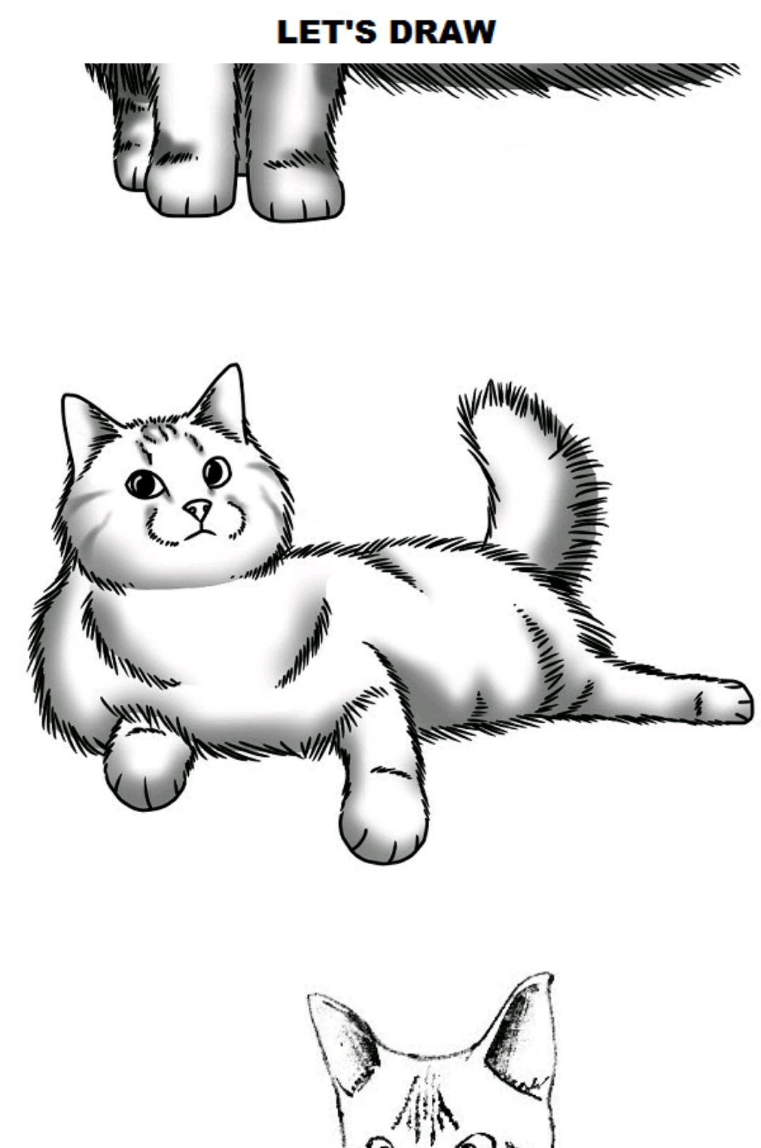 اسکرین شات 1 برنامه How to Draw Cats