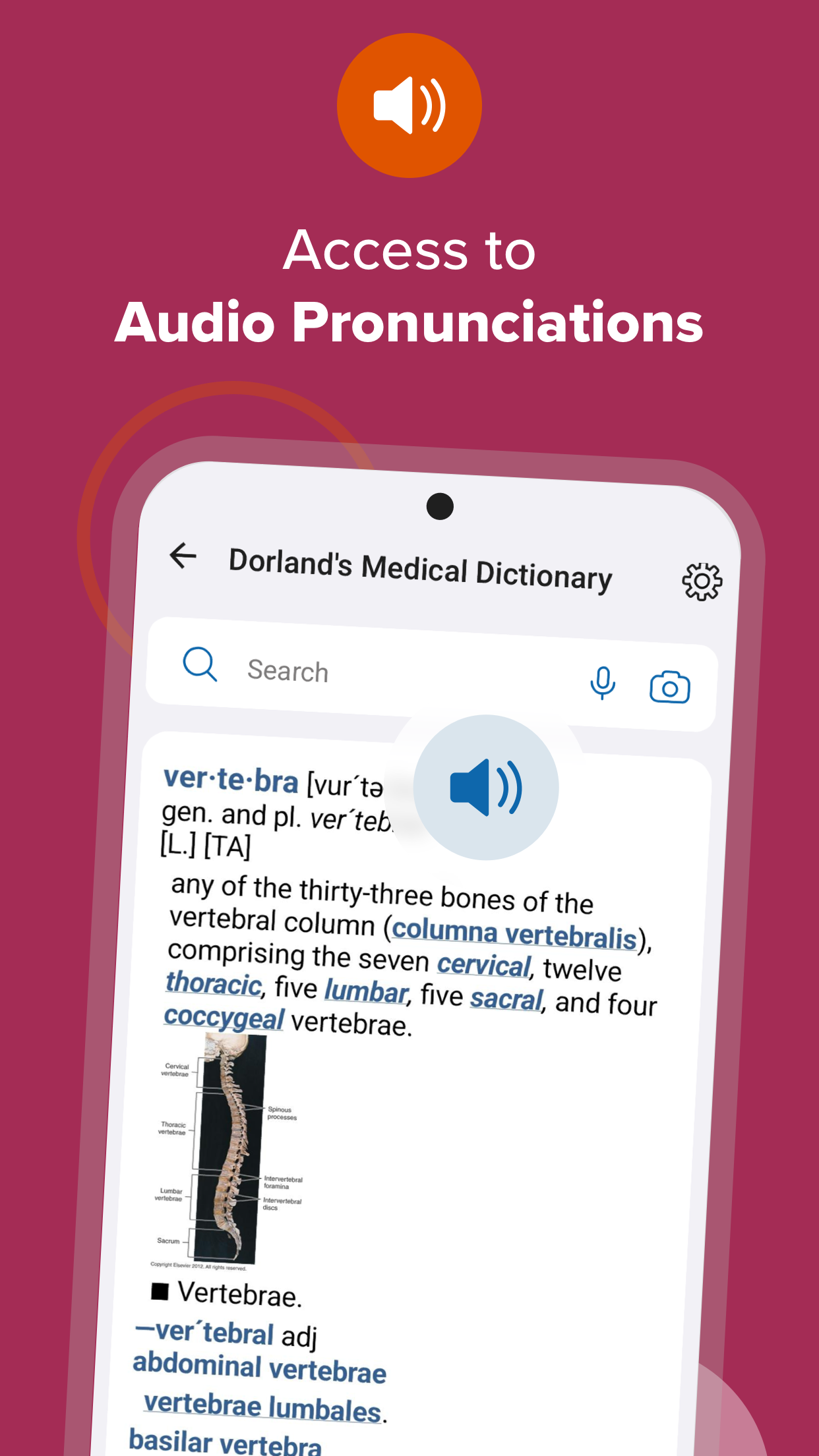 اسکرین شات 3 برنامه Dorland's Medical Dictionary