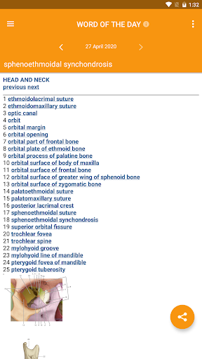 اسکرین شات 3 برنامه Dorland's Gray's Pocket Atlas of Anatomy