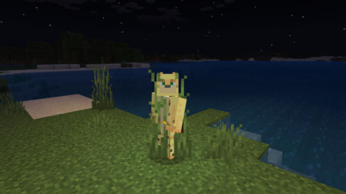 اسکرین شات 4 برنامه TNT Mod for MCPE