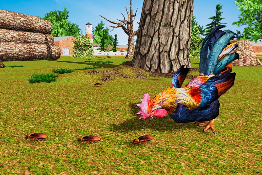 اسکرین شات 4 بازی Rooster Simulator - Chick Life