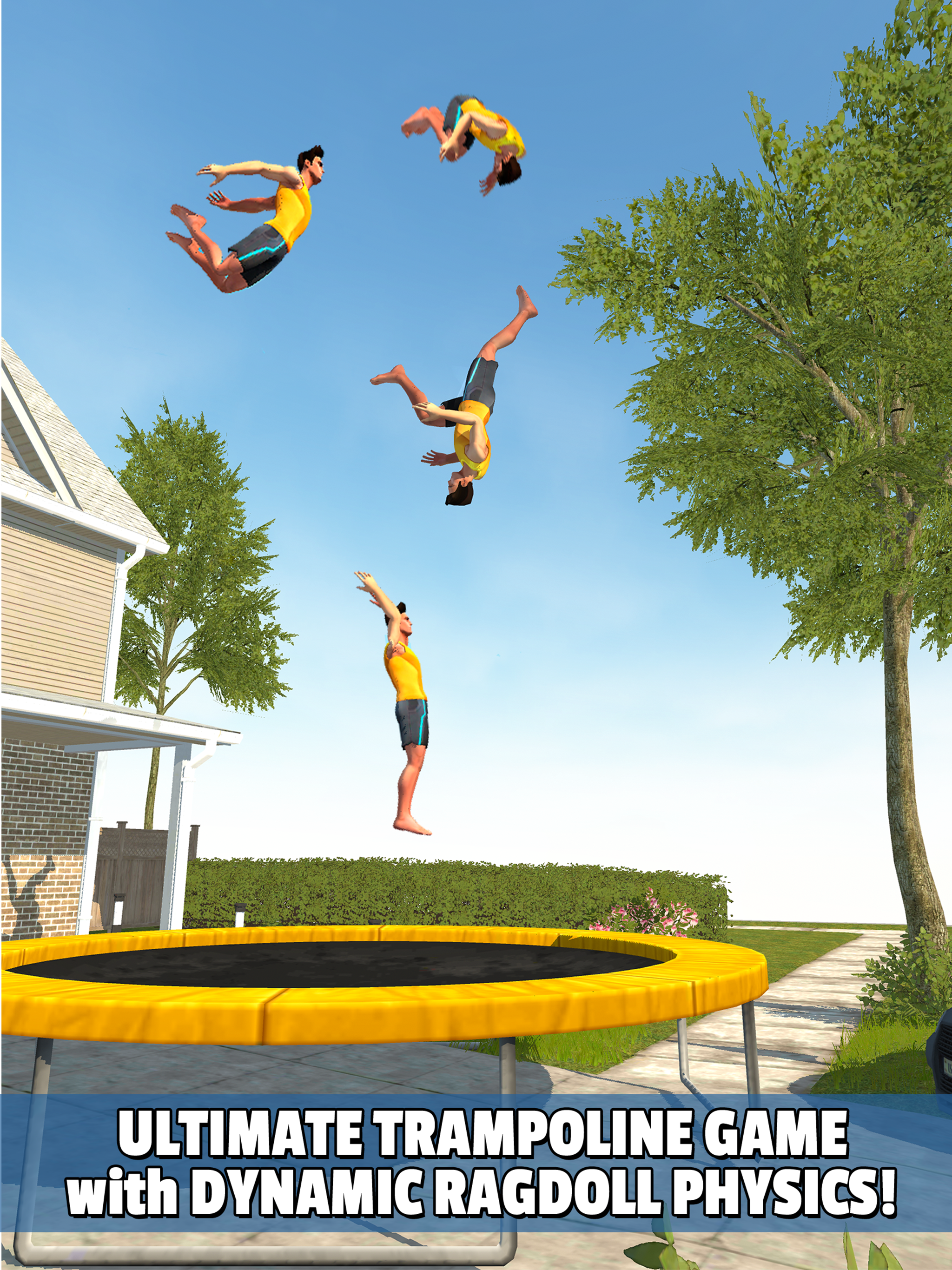 اسکرین شات 4 بازی Flip Master