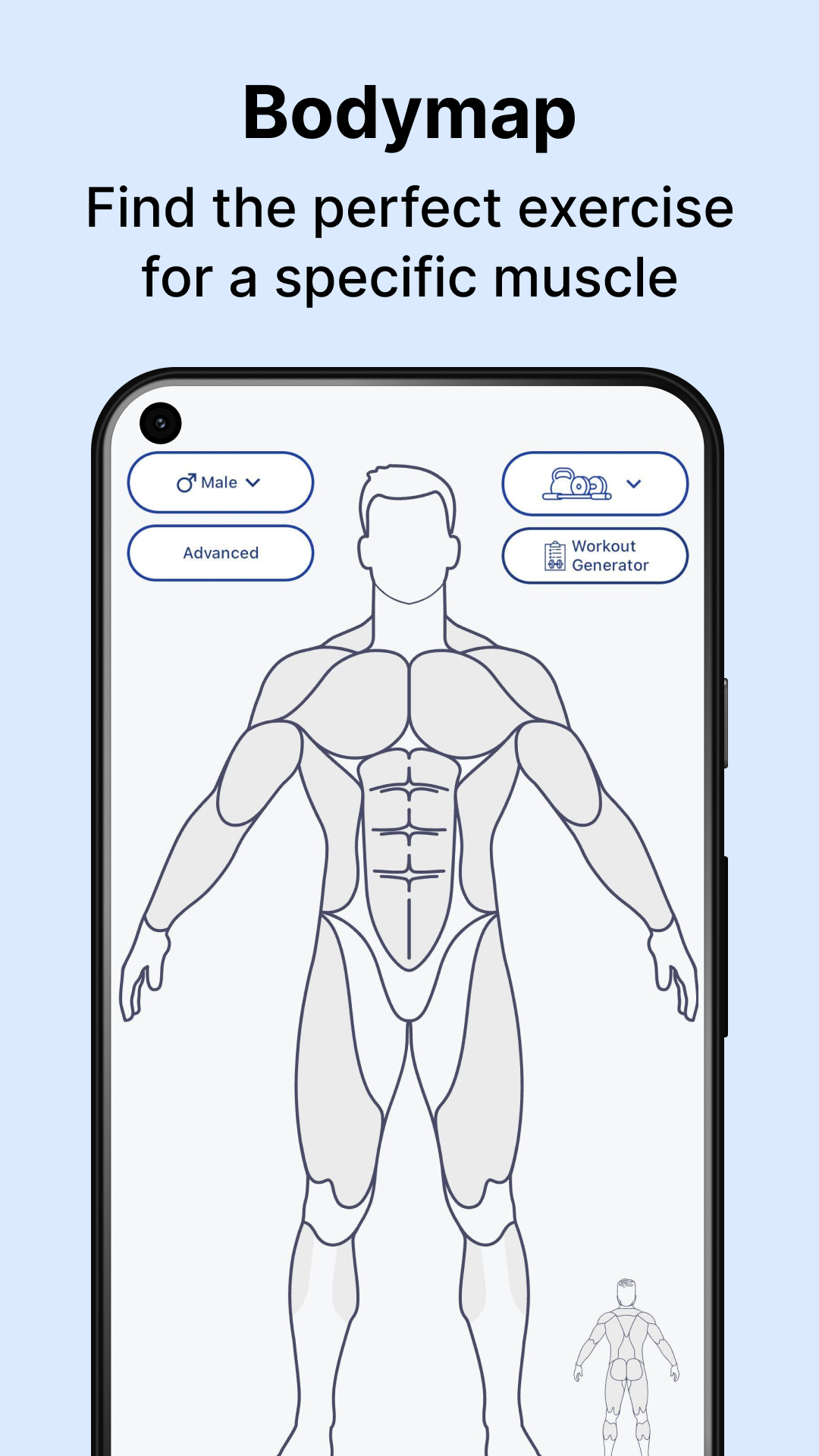 اسکرین شات 1 برنامه MuscleWiki: Workout & Fitness