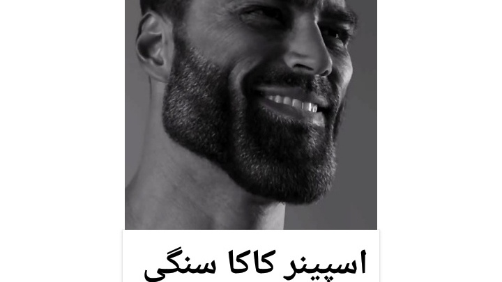 اسکرین شات 3 بازی اسپینر کاکاها