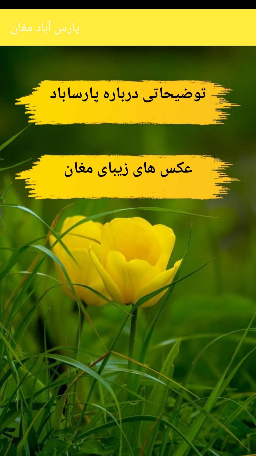 اسکرین شات 2 برنامه پارس‌آباد مغان