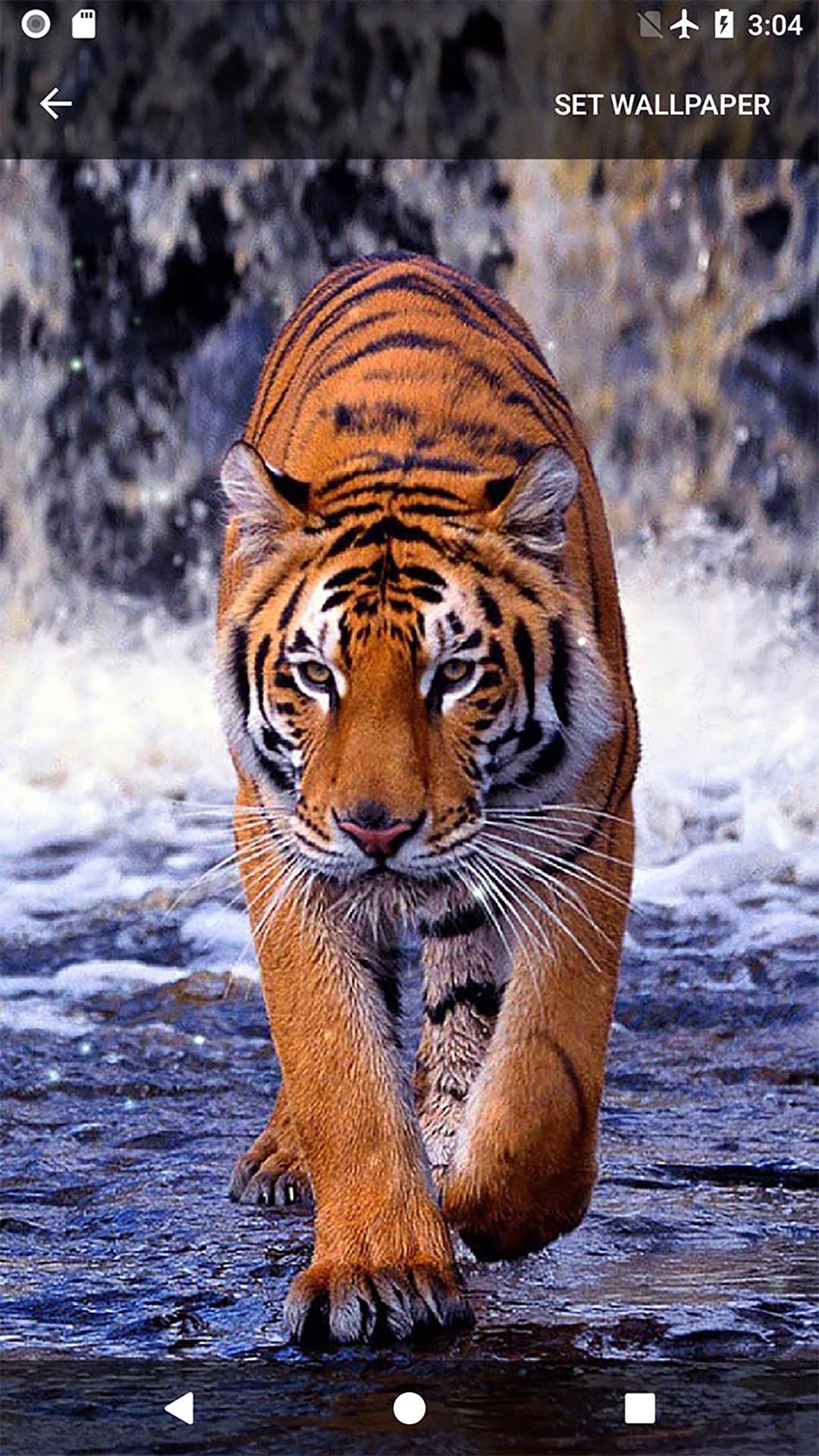 اسکرین شات 7 برنامه Animal Sounds Ringtones
