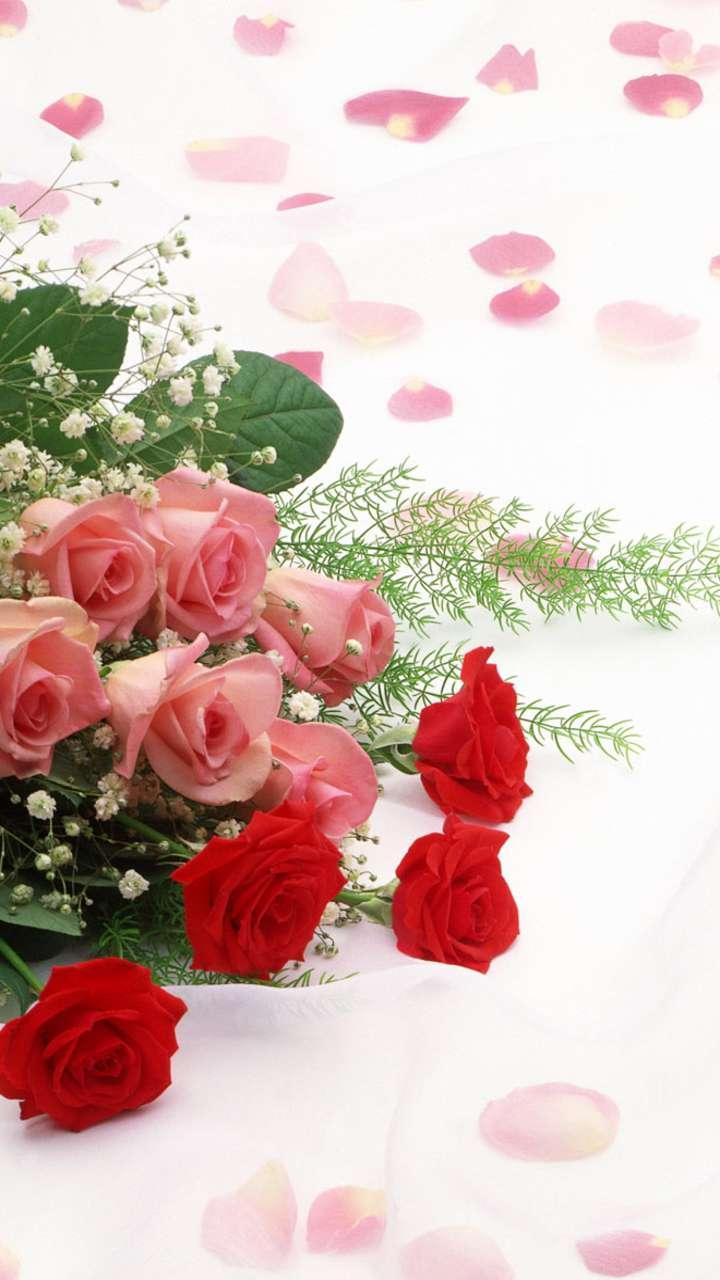اسکرین شات 5 برنامه Rose Wallpaper: Rosely