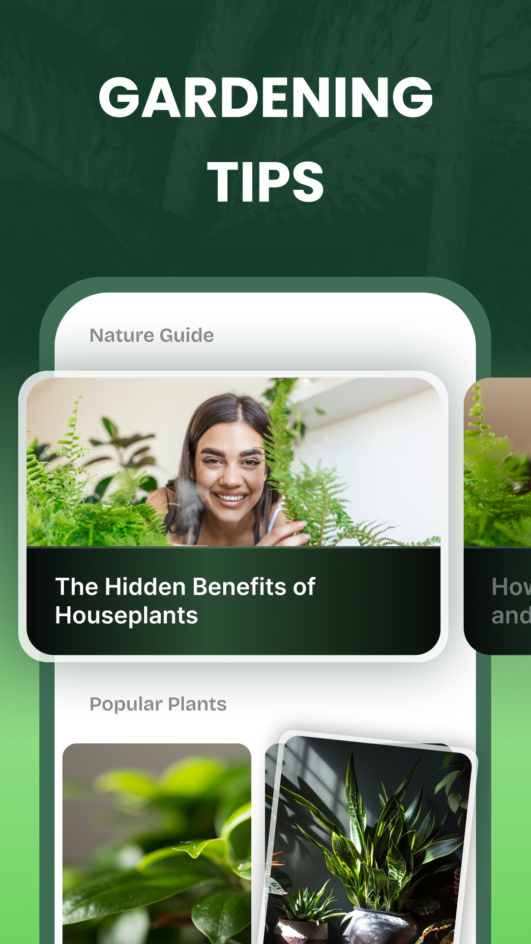 اسکرین شات 3 برنامه Garden Genie: Plant Identifier