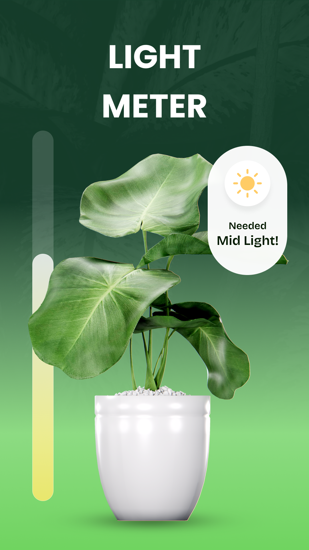 اسکرین شات 4 برنامه Garden Genie: Plant Identifier