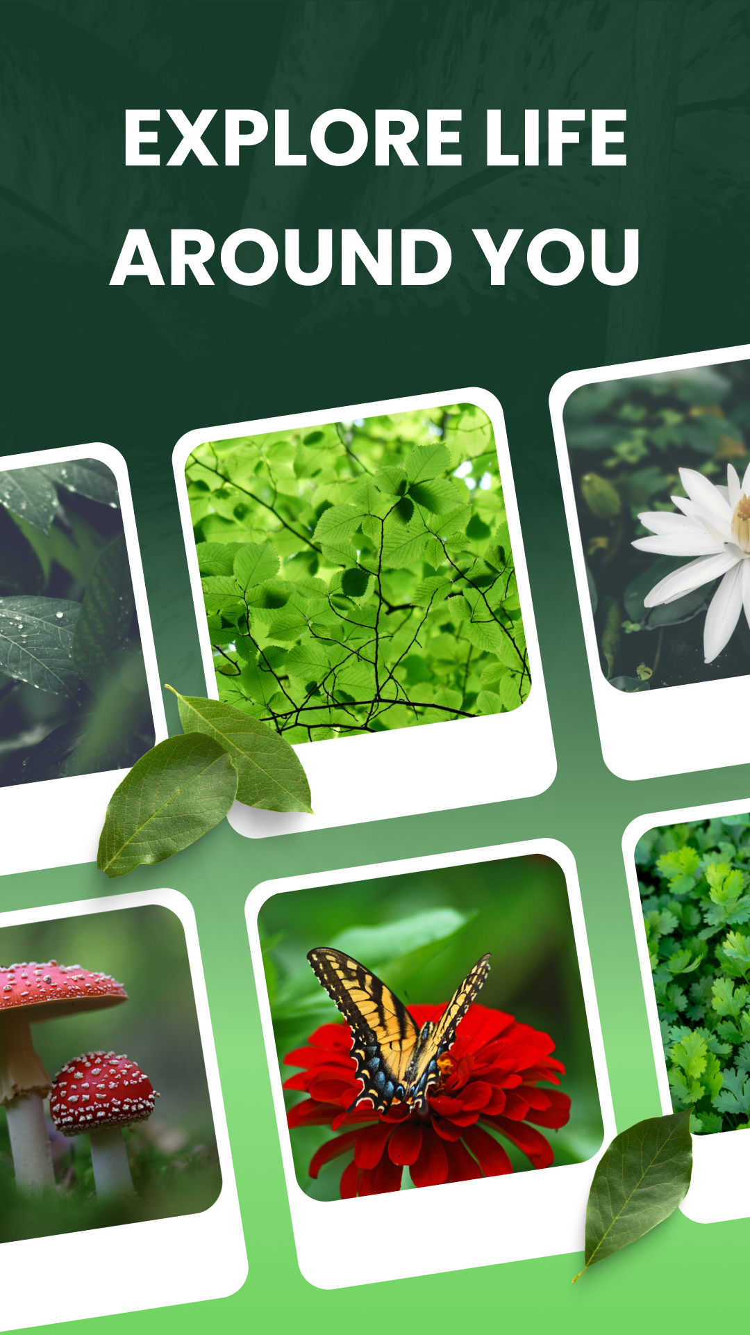 اسکرین شات 8 برنامه Garden Genie: Plant Identifier