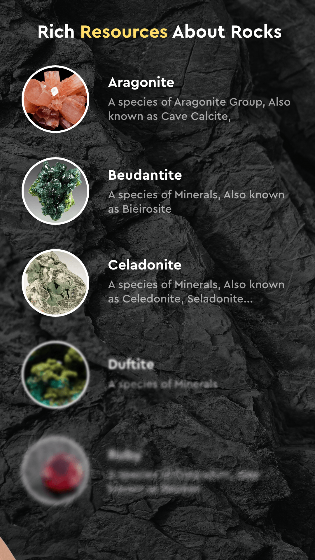 اسکرین شات 5 برنامه Rock Identifier by Photo