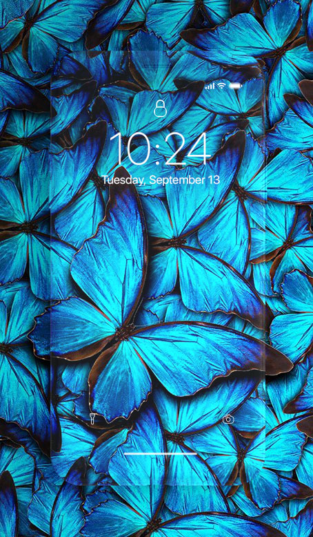 اسکرین شات 6 برنامه Butterfly Wallpaper