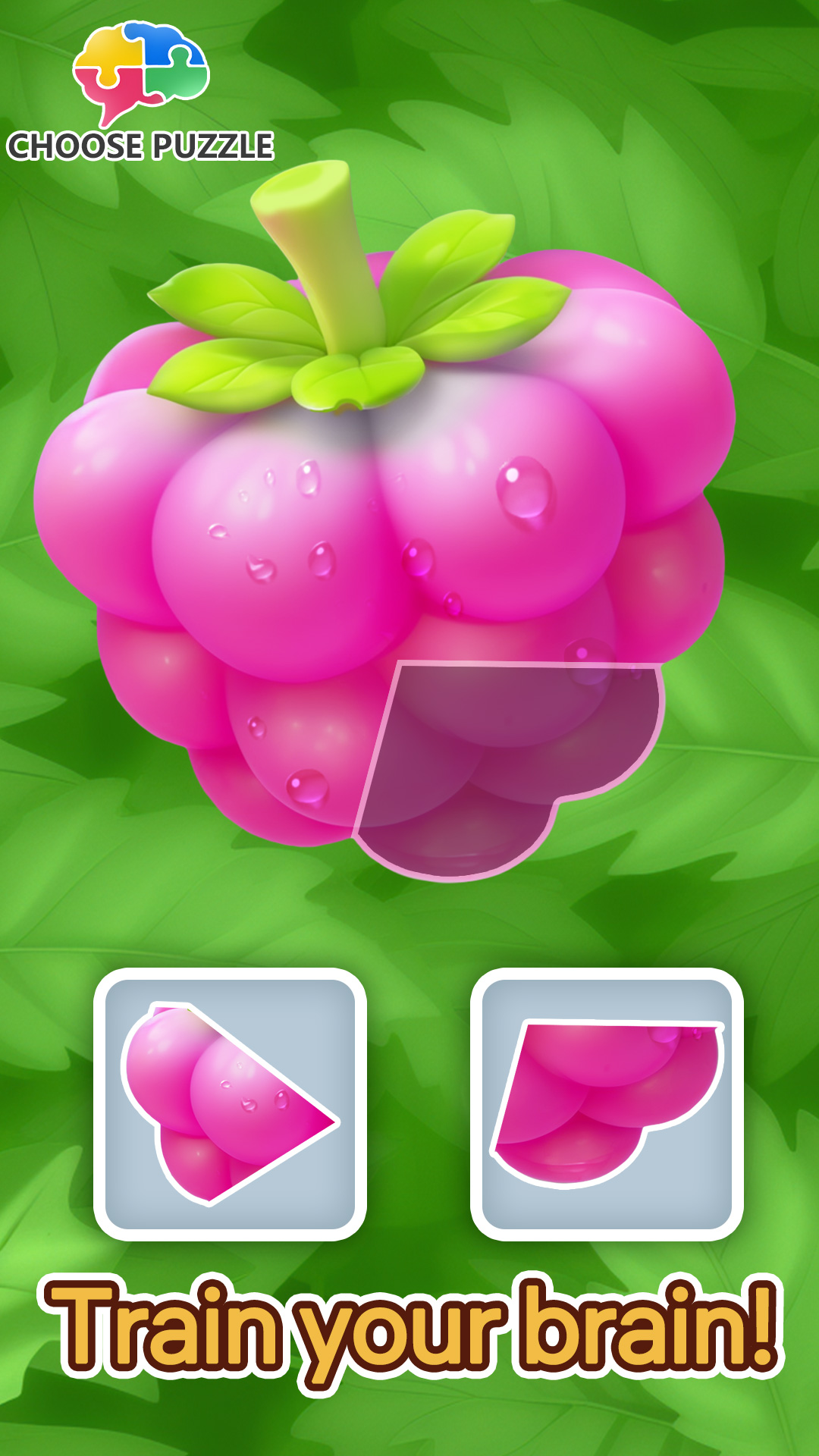 اسکرین شات 3 بازی Choose Puzzle: Mini Games