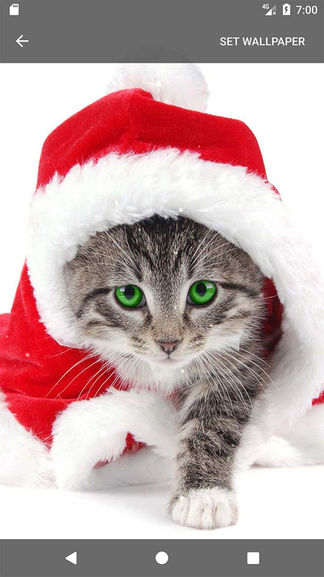 اسکرین شات 7 برنامه Christmas Ringtones Wallpapers