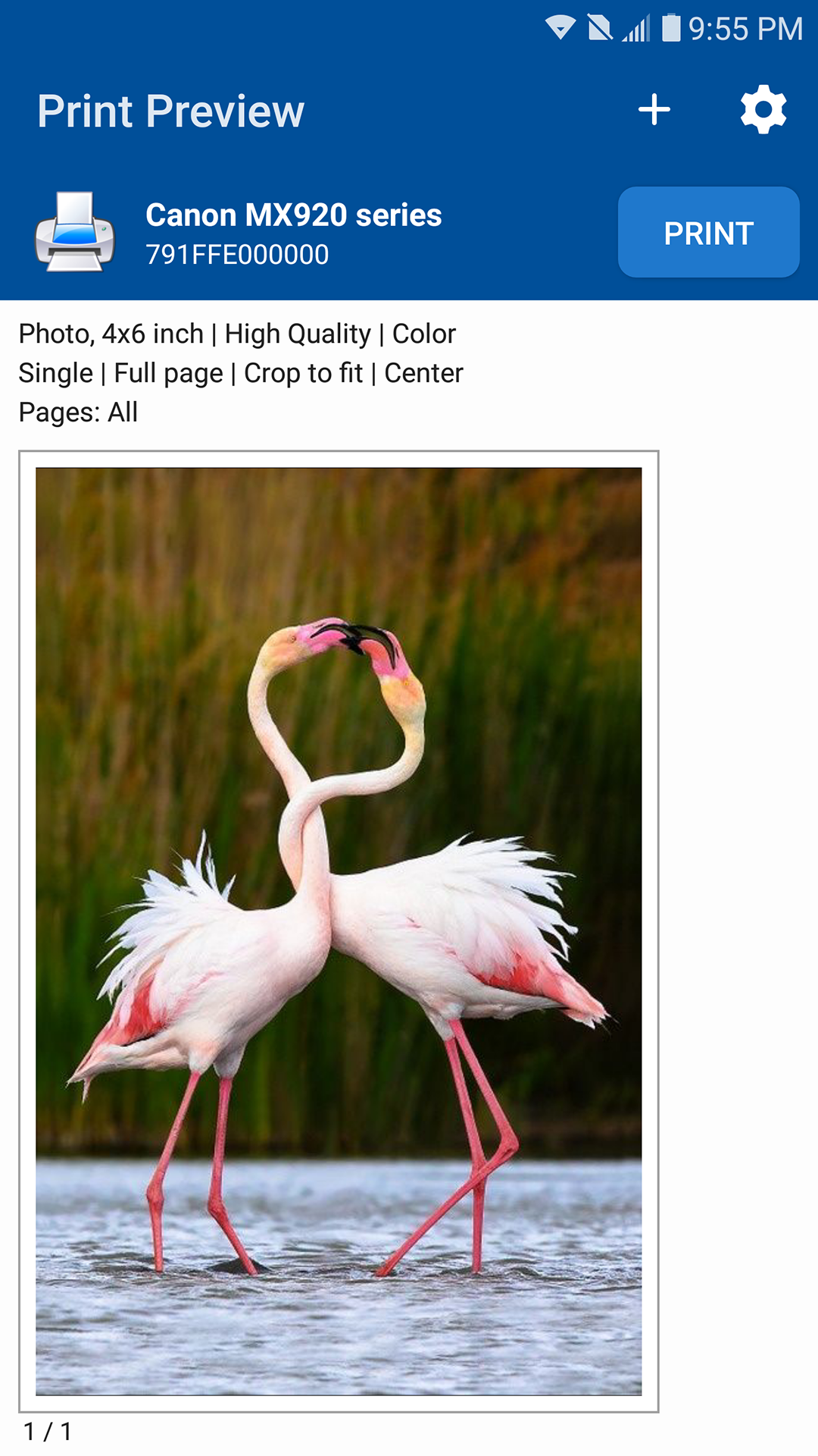 اسکرین شات 2 برنامه NokoPrint - Mobile Printing