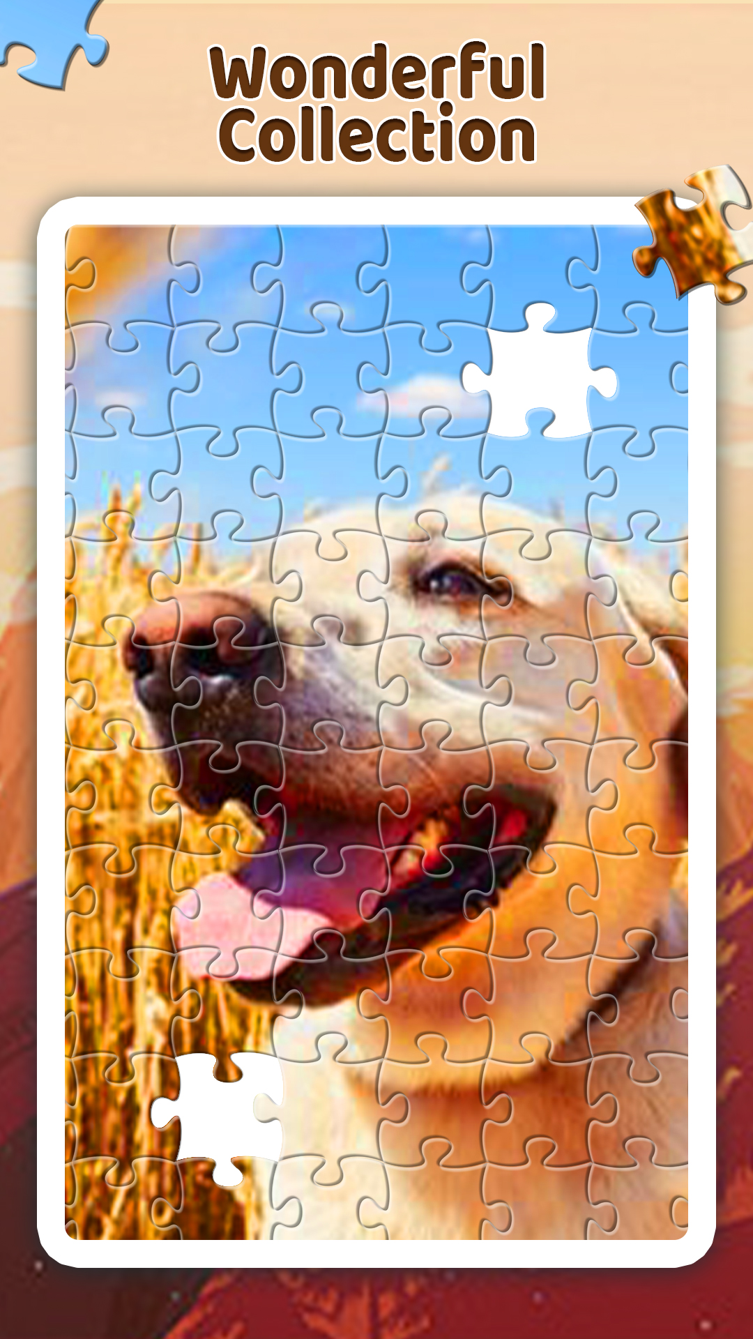 اسکرین شات 6 بازی Jigsaw Puzzle Master