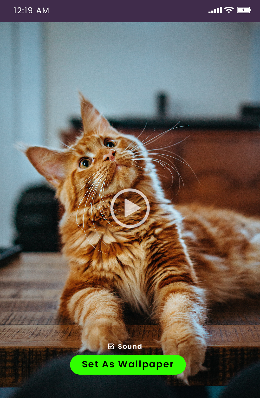 اسکرین شات 4 برنامه Live Video Wallpapers HD