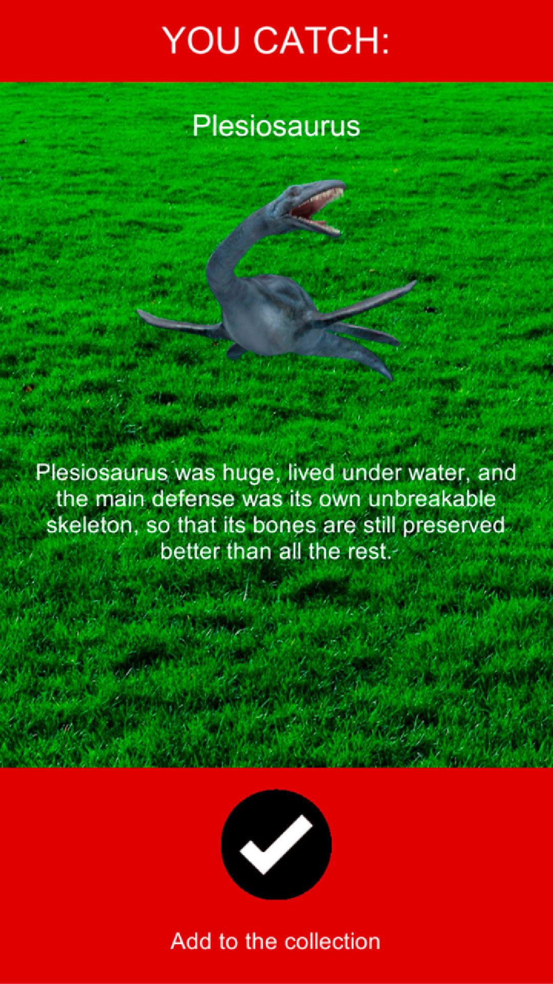 اسکرین شات بازی Pocket Dinosaur AR GO 5
