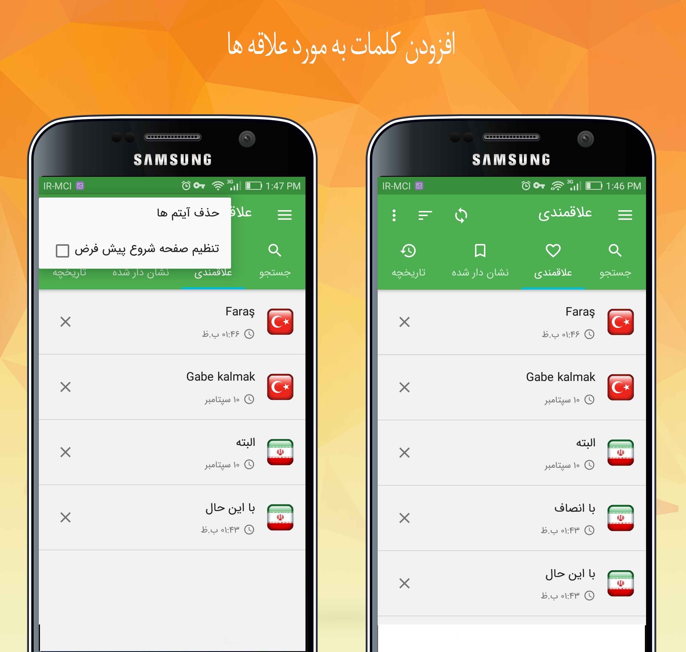 اسکرین شات 2 برنامه دیکشنری فارسی ترکی دیلماج