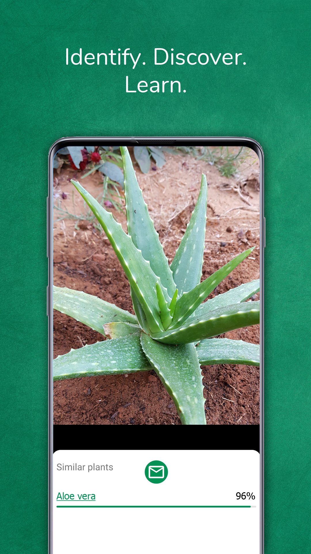 اسکرین شات 1 برنامه Plant identifier from photo