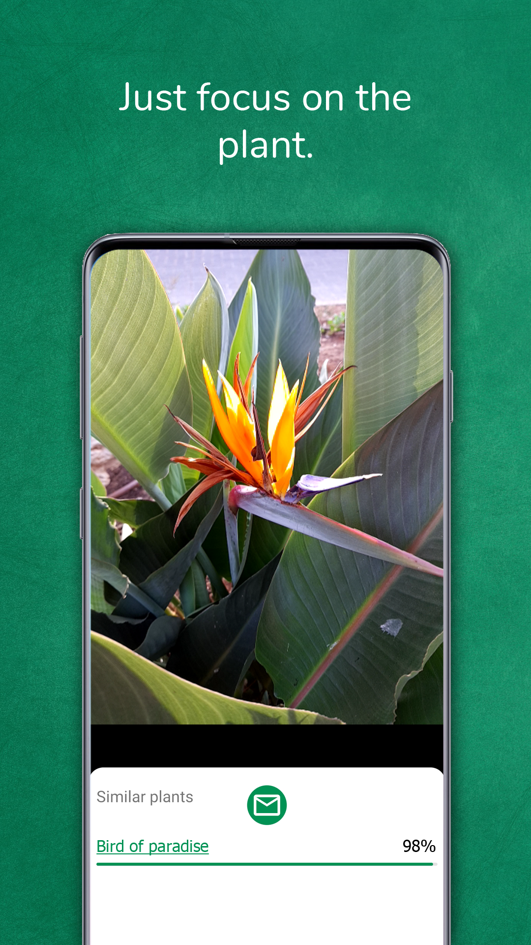 اسکرین شات 3 برنامه Plant identifier from photo