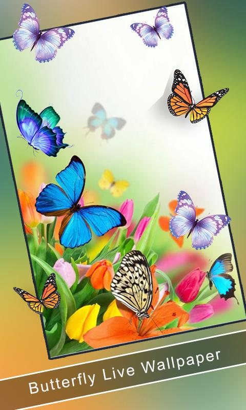 اسکرین شات 3 برنامه Butterfly Live Wallpaper 2023