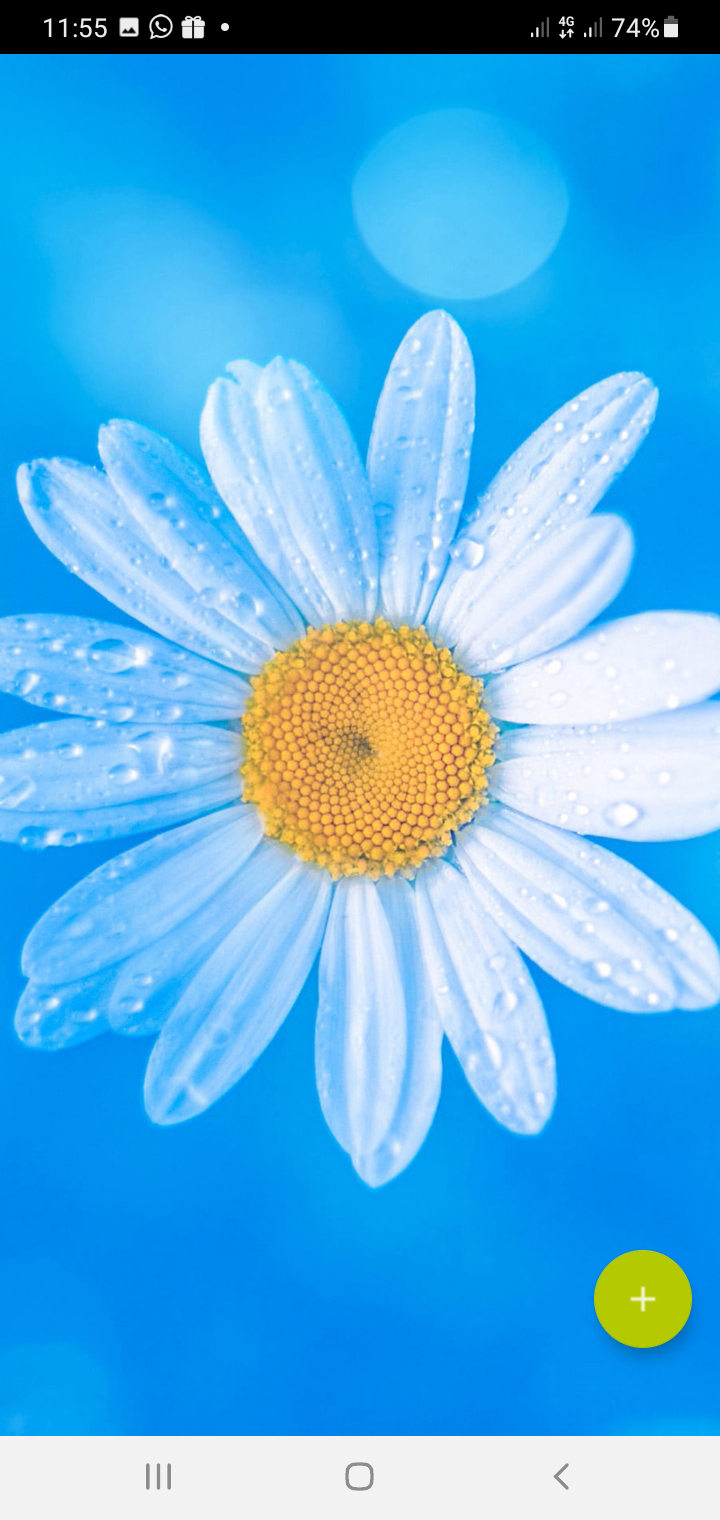 اسکرین شات 4 برنامه 10000 Flowers Wallpapers