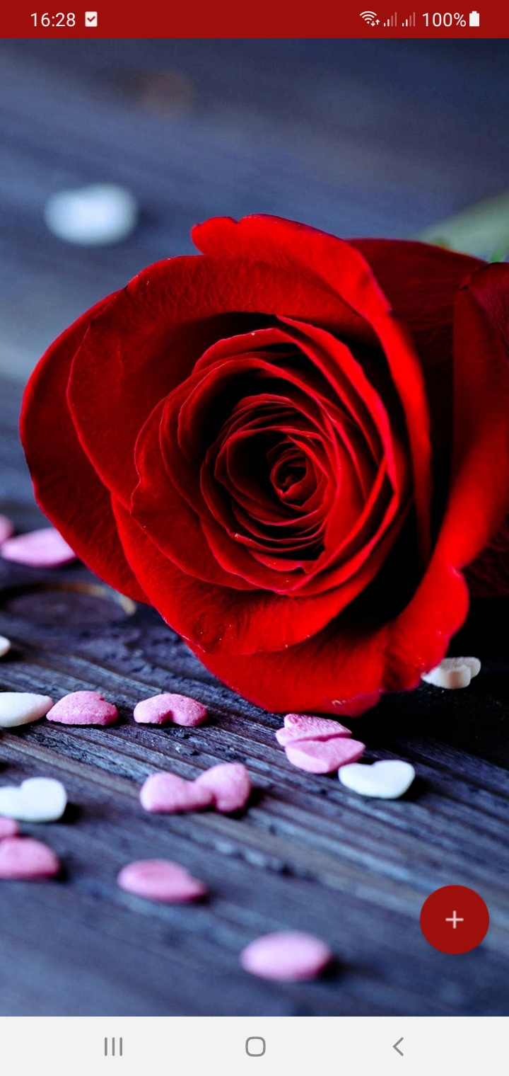 اسکرین شات 1 برنامه 10000 Love Wallpapers