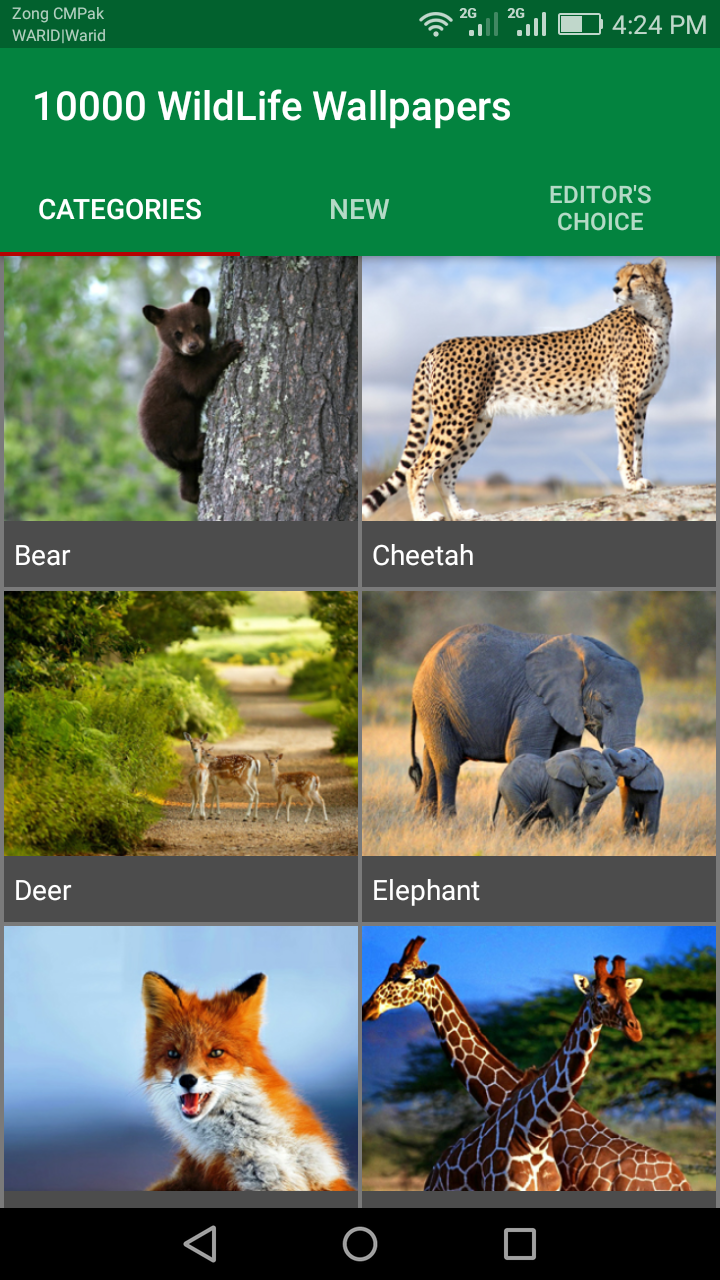 اسکرین شات 1 برنامه 10000 WildLife Wallpapers