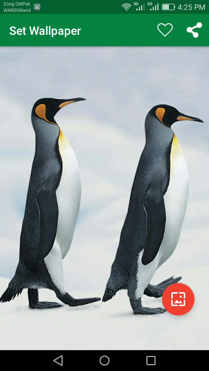 اسکرین شات 3 برنامه 10000 WildLife Wallpapers