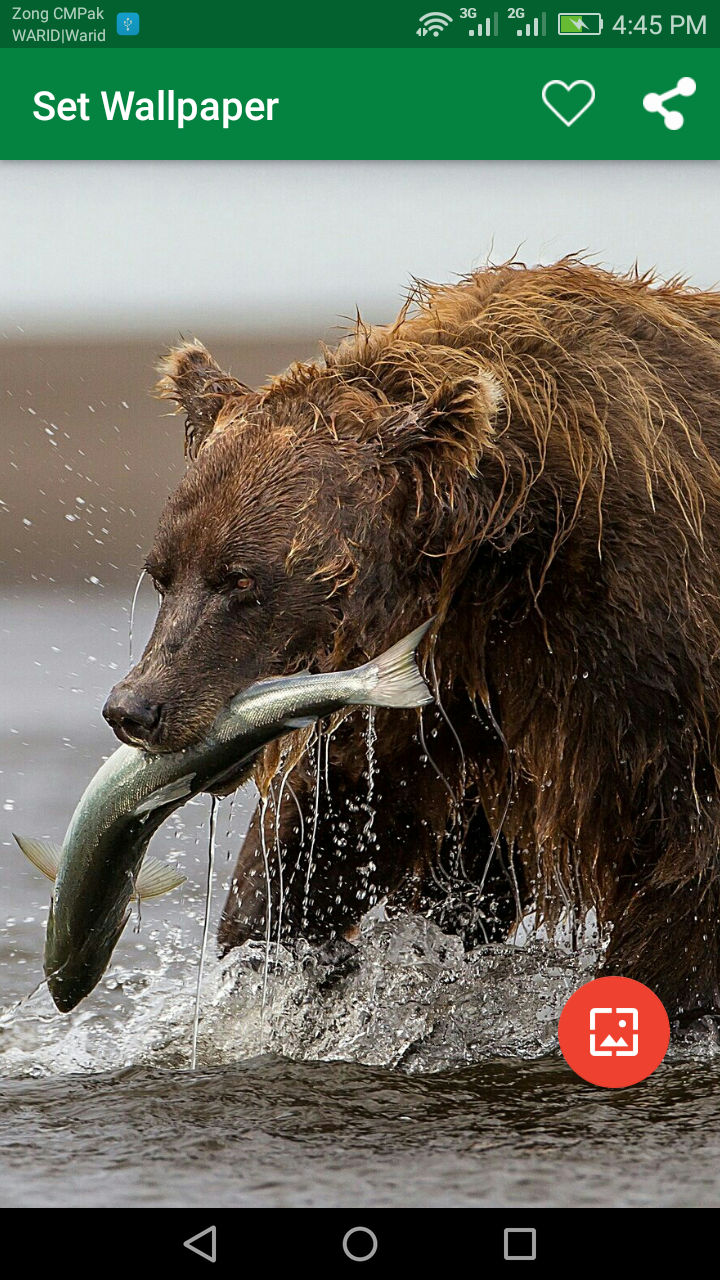 اسکرین شات 6 برنامه 10000 WildLife Wallpapers