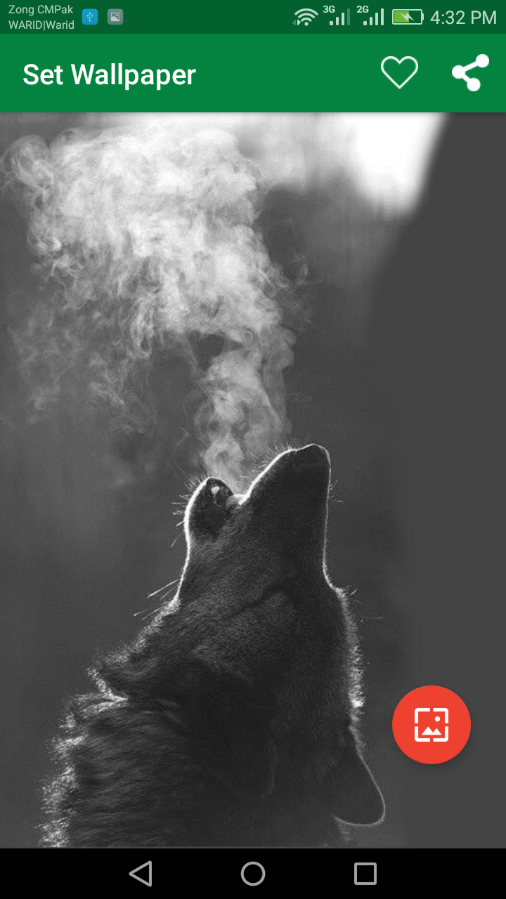 اسکرین شات 4 برنامه 10000 WildLife Wallpapers