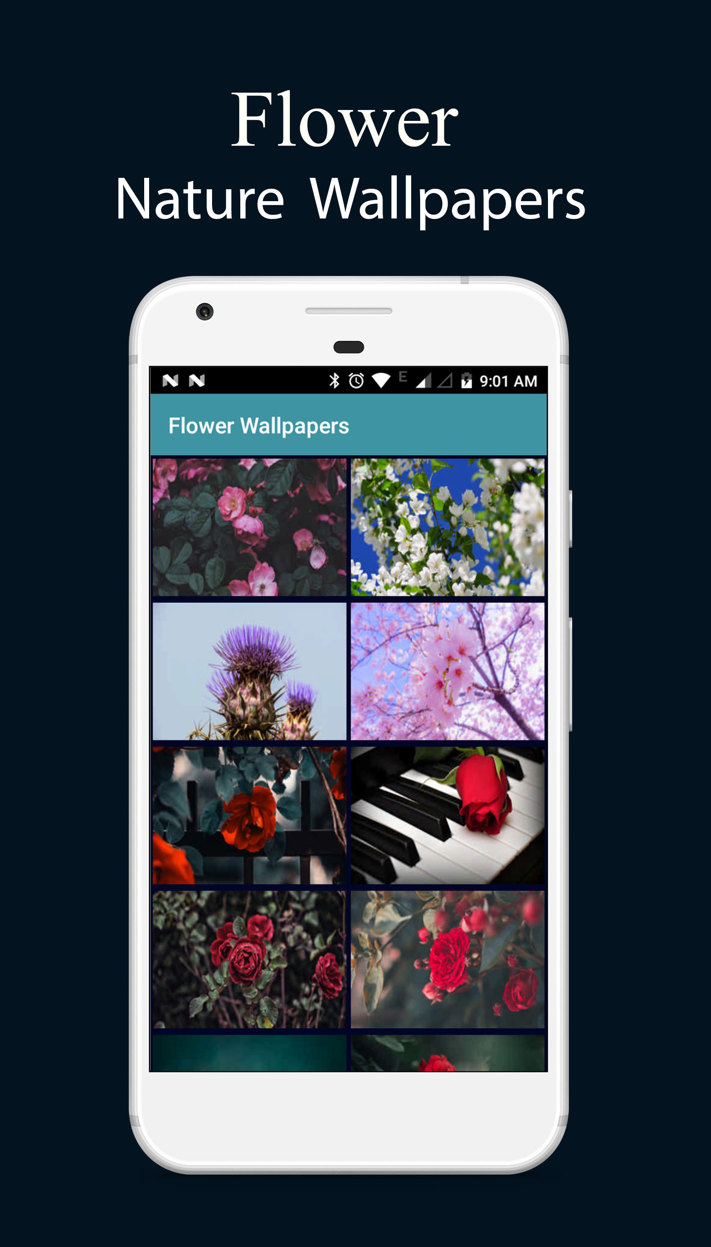 اسکرین شات 4 برنامه 8000 Nature Wallpapers 2024