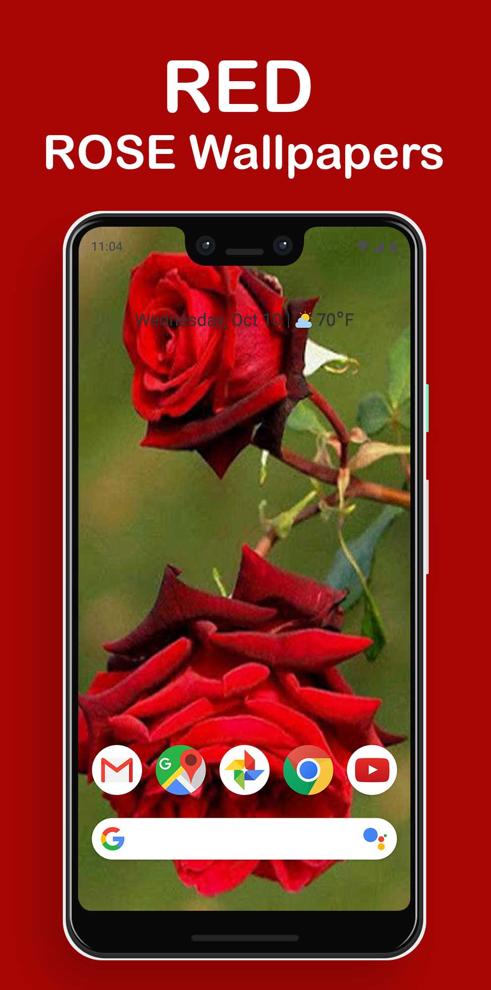 اسکرین شات 3 برنامه Rosely - Rose wallpapers HD