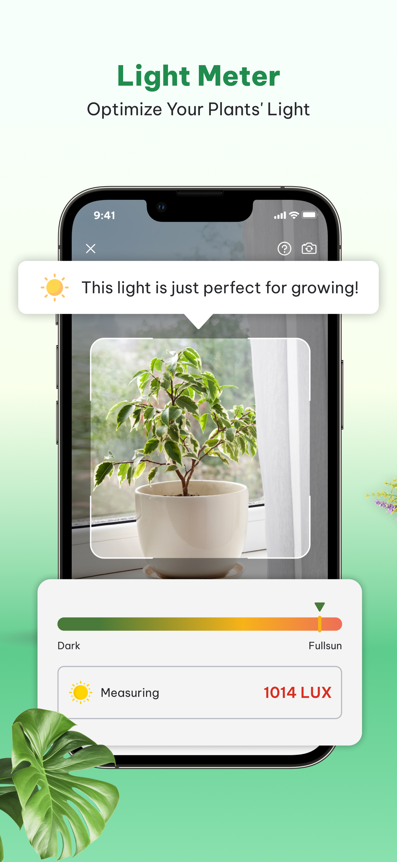 اسکرین شات 5 برنامه Plant Identifier & Plant Care
