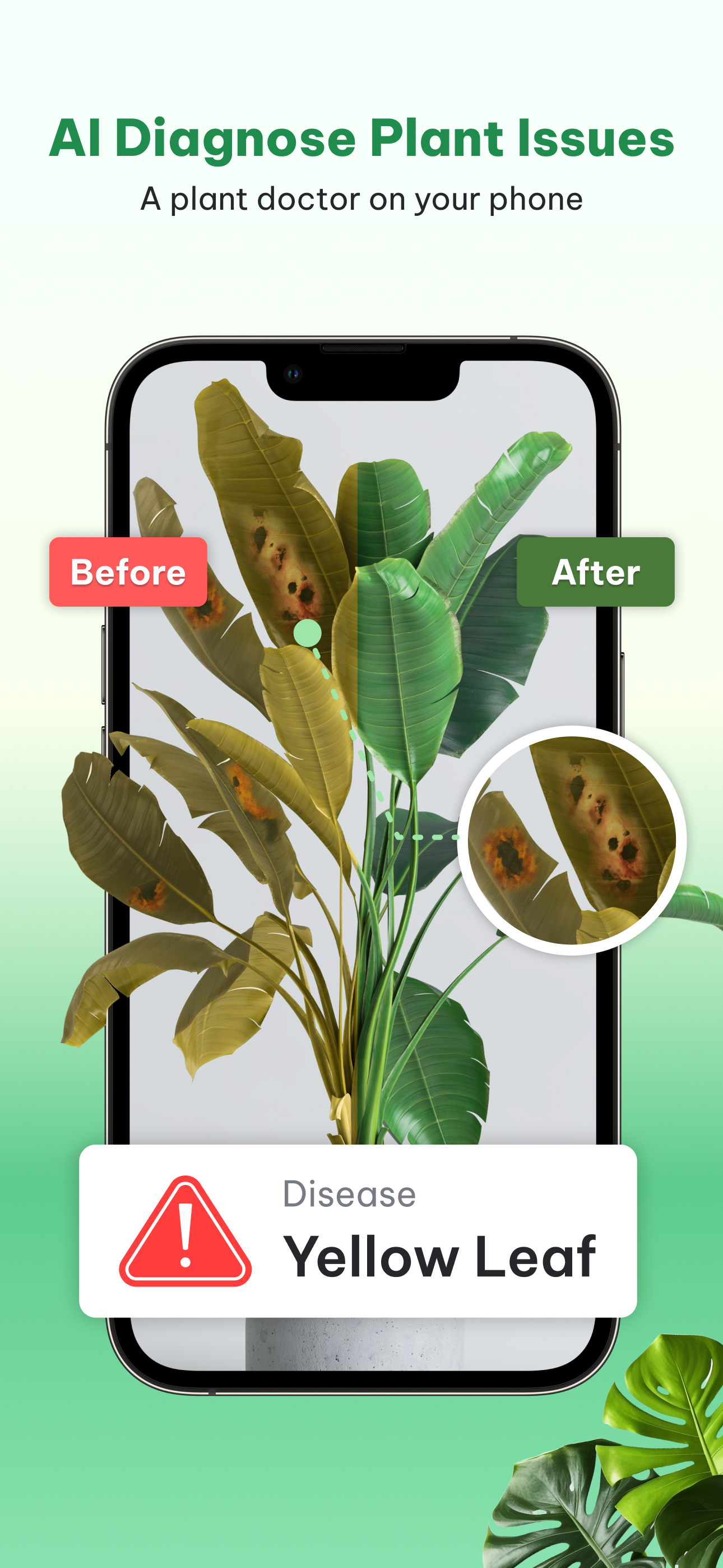 اسکرین شات 2 برنامه Plant Identifier & Plant Care