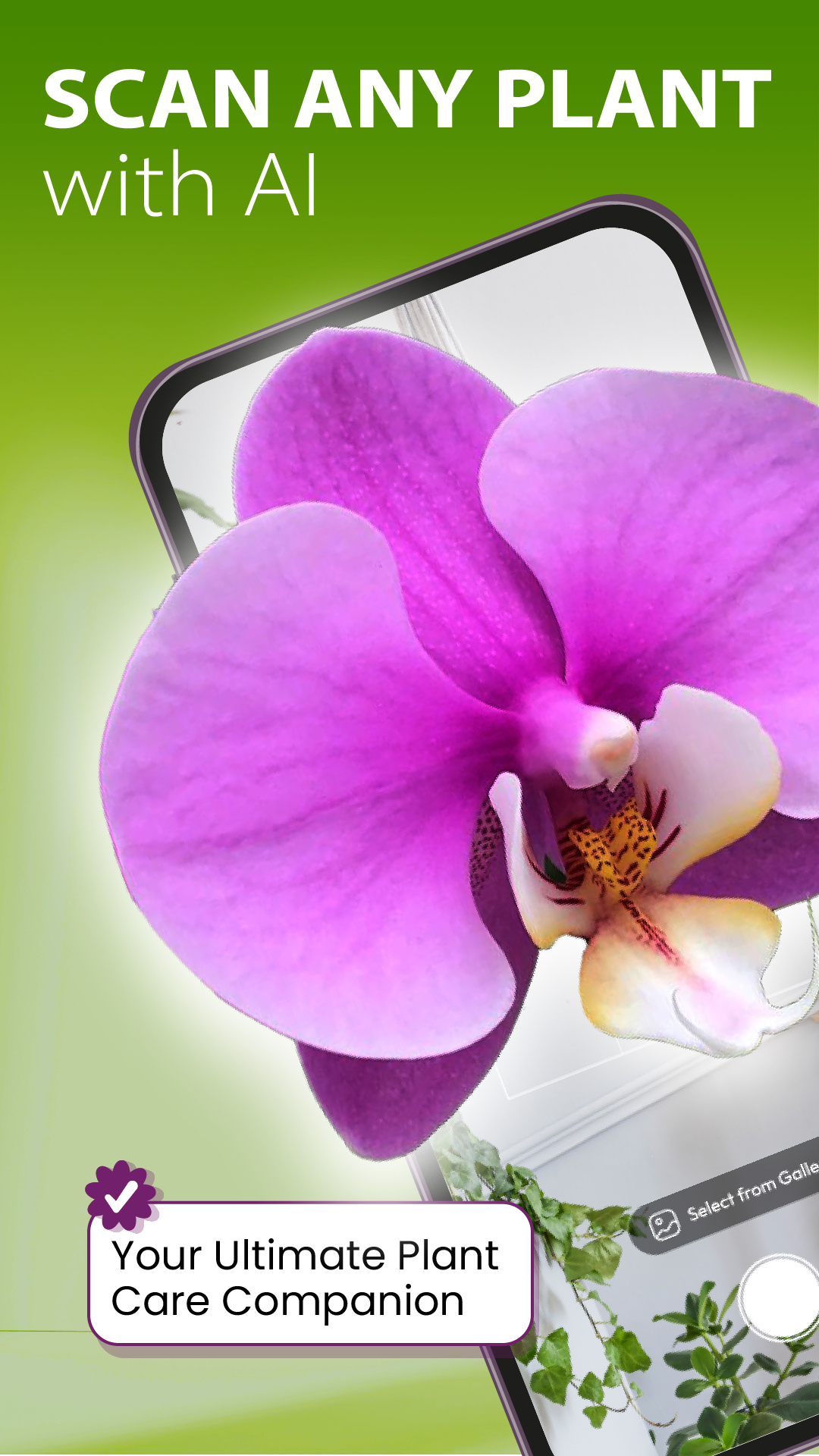 اسکرین شات 1 برنامه Root Raise: AI Plant Care