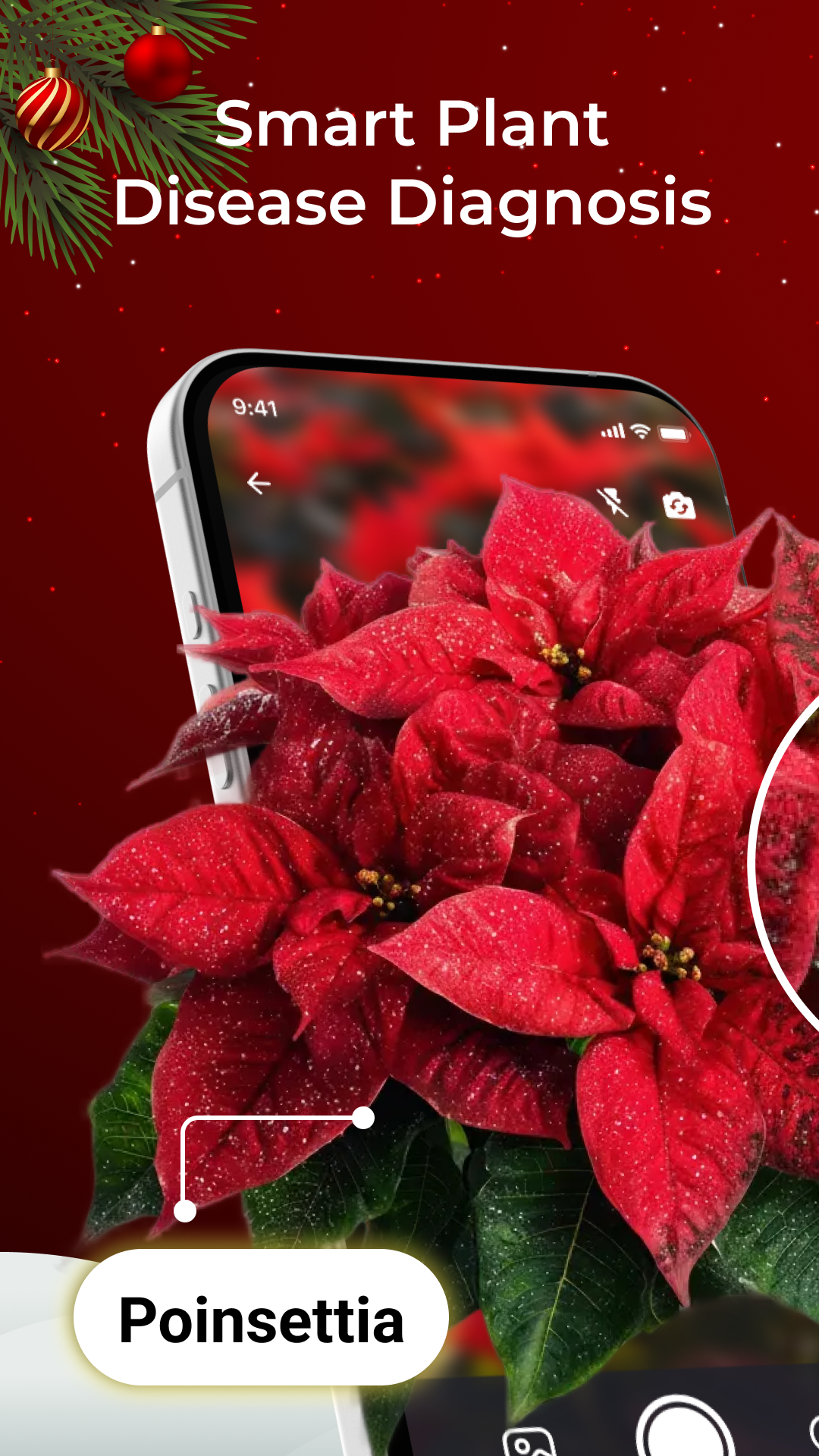 اسکرین شات 1 برنامه LeafCheck: Plant Identifier