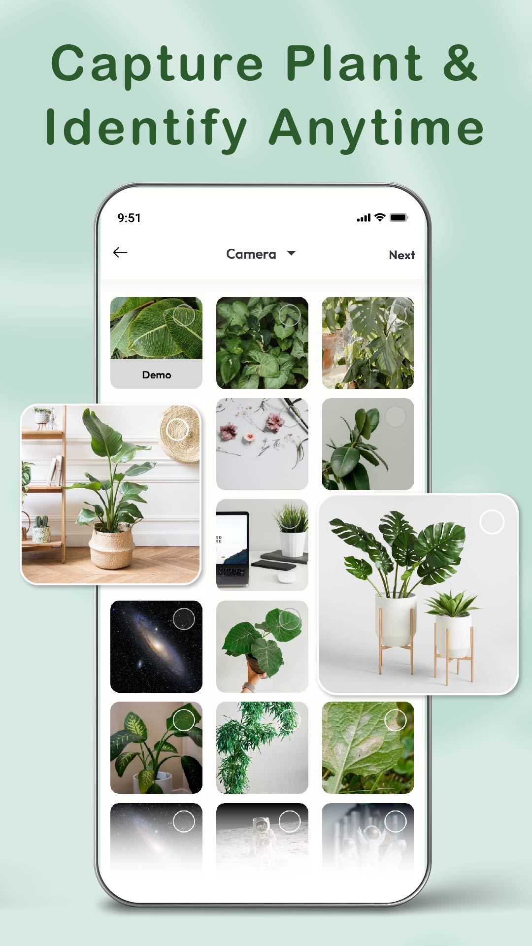 اسکرین شات 7 برنامه Happy Plant: AI Plant Care