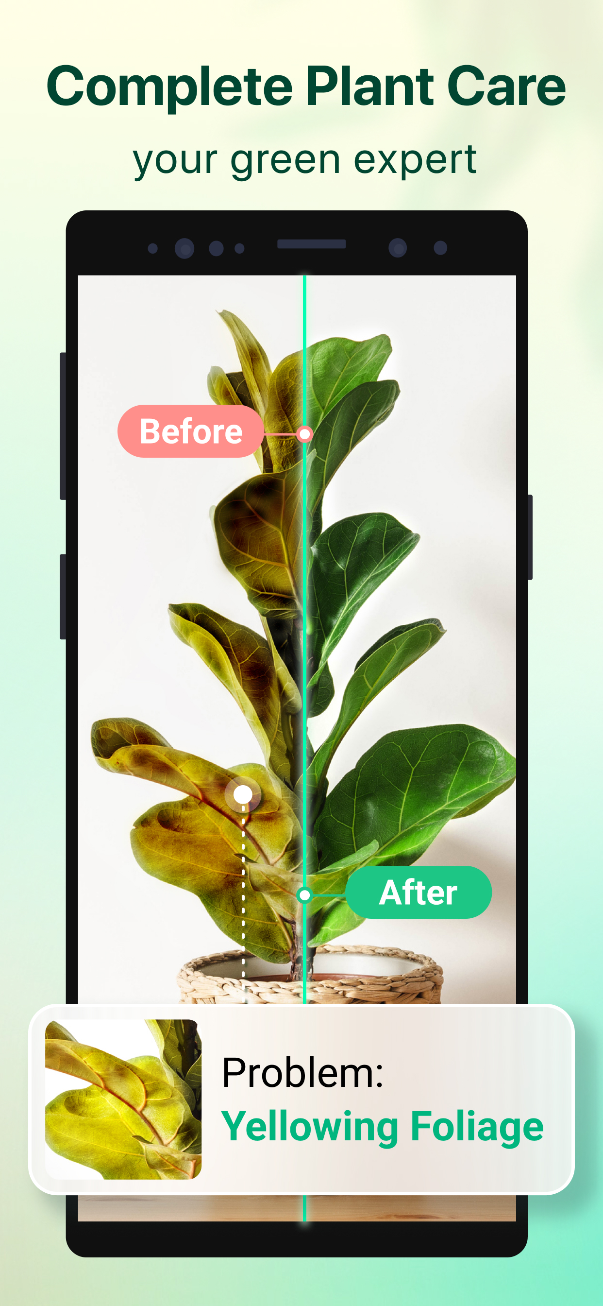 اسکرین شات 2 برنامه Plant Parent: Plant Care Guide