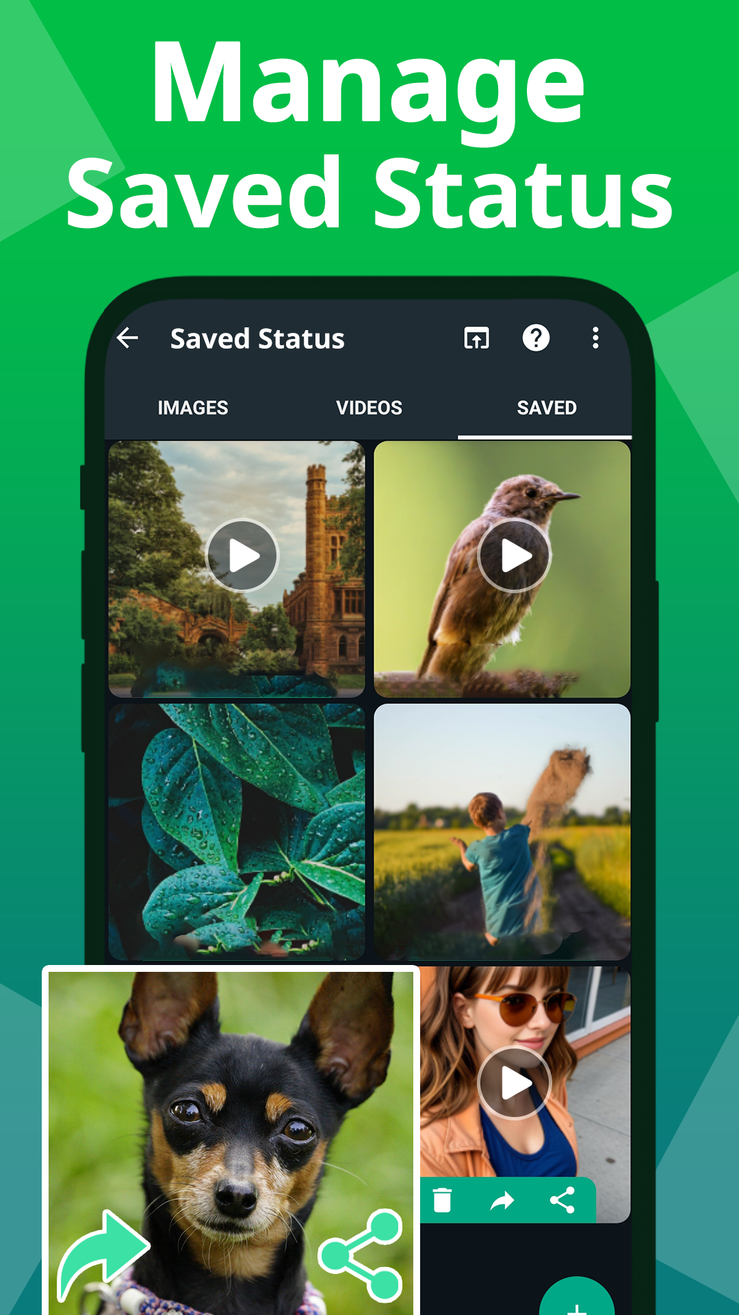 اسکرین شات 5 برنامه Status Saver Video Downloader