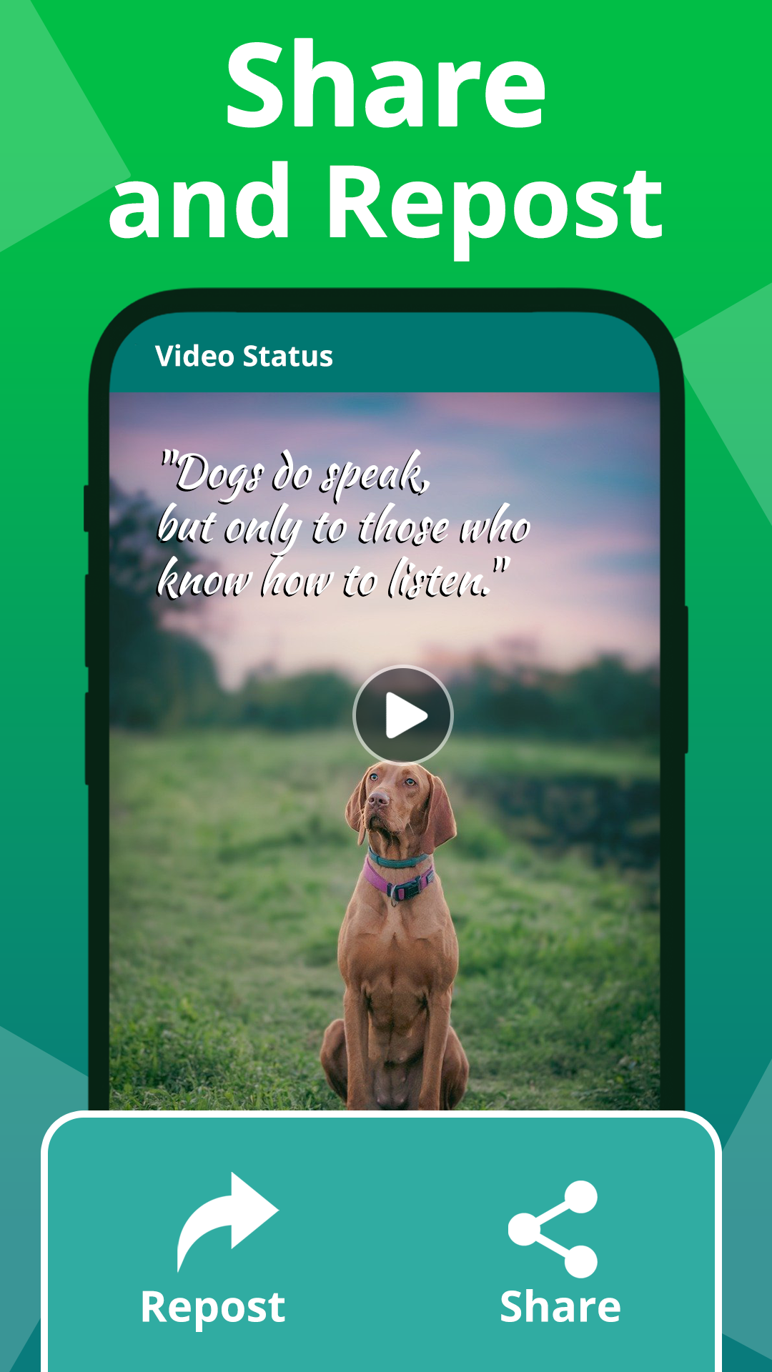 اسکرین شات 6 برنامه Status Saver Video Downloader